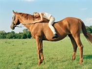 /album/fotogaleria/a200263711-001-jpg/